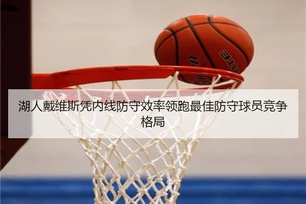 湖人戴维斯凭内线防守效率领跑最佳防守球员竞争格局